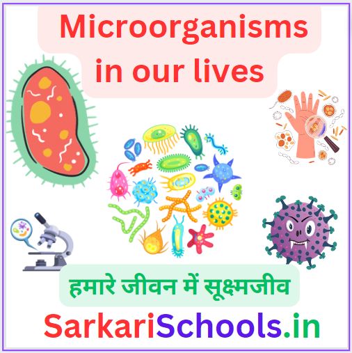 Write 10 lines on the usefulness of Microorganisms in our lives || 10 lines on the usefulness of microorganisms in Hindi