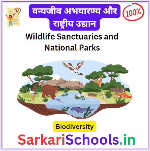 भगवान महावीर राष्ट्रीय उद्यान  || Bhagwan Mahaveer Vanya Jeev Abhyaran