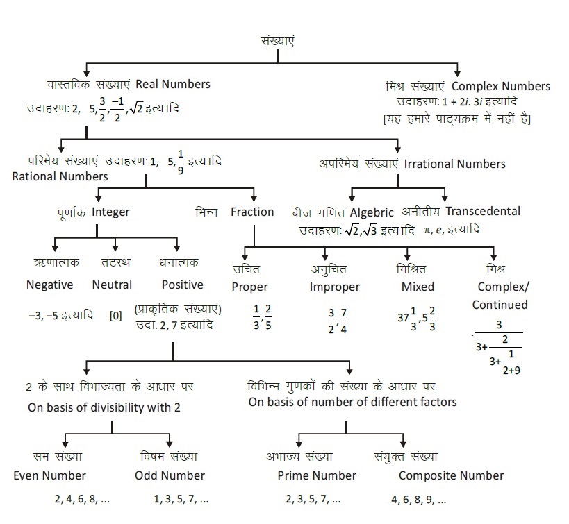 Rational Number in Hindi