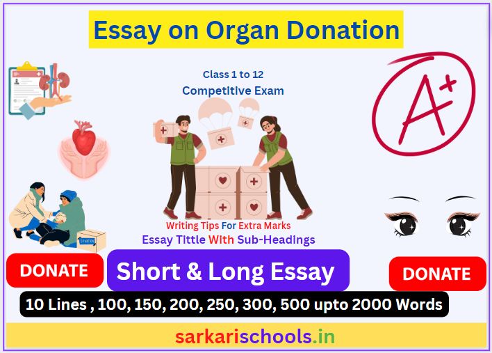 Essay on Organ Donation