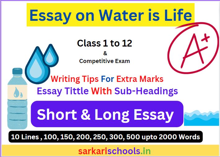 Essay On Water is Life